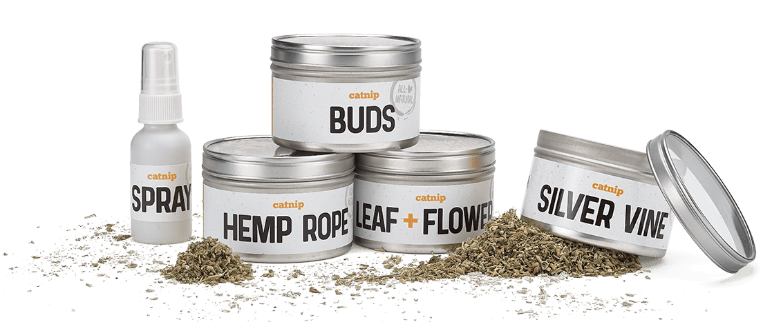 Super Happy Organic Catnip with Silver Vine - The Purrfect Post