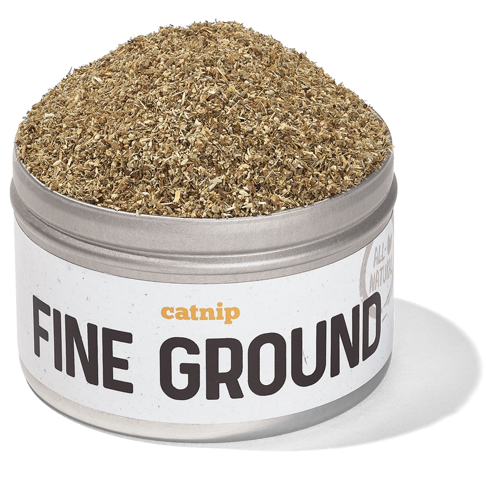 Catnip Fine Ground