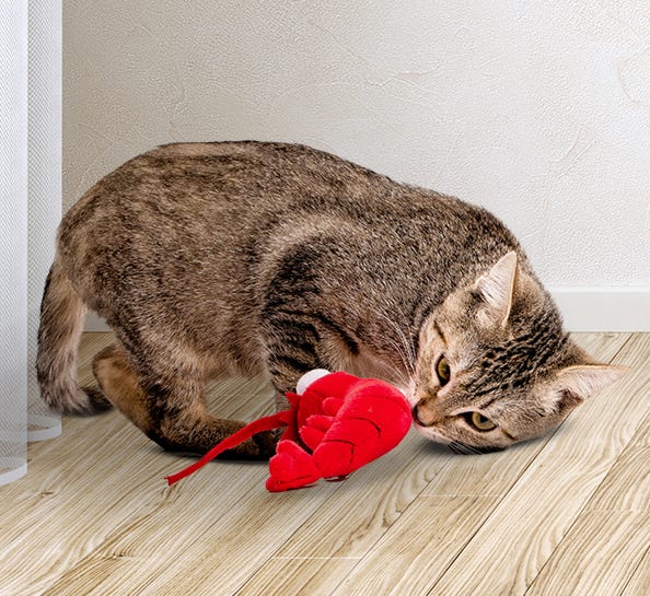 Animal Planet Shrimp Plush Catnip Cat Toy 3 - Nokomis Bookstore & Gift Shop