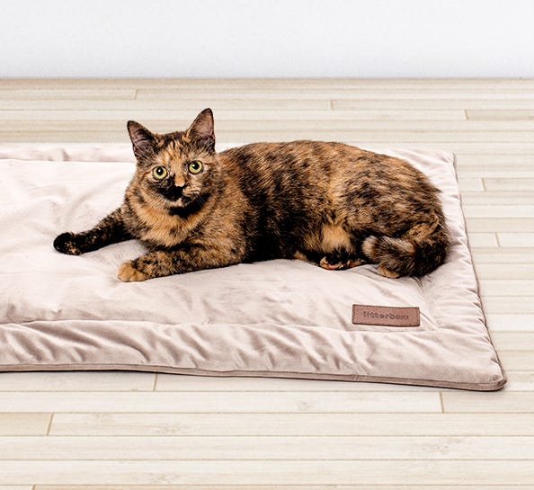 1 PC Pet carpet dog mat Small and medium-sized dog sleeping mat cat  sleeping mat summer non-slip pet mat